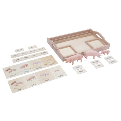 Animal Family- Pig， Custom Text，Bilingual，Monolingual