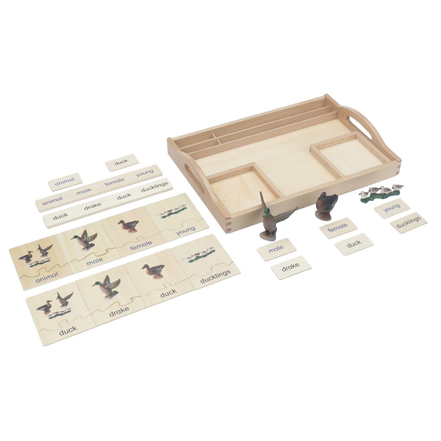 Animal Family- Duck， Custom Text，Bilingual，Monolingual