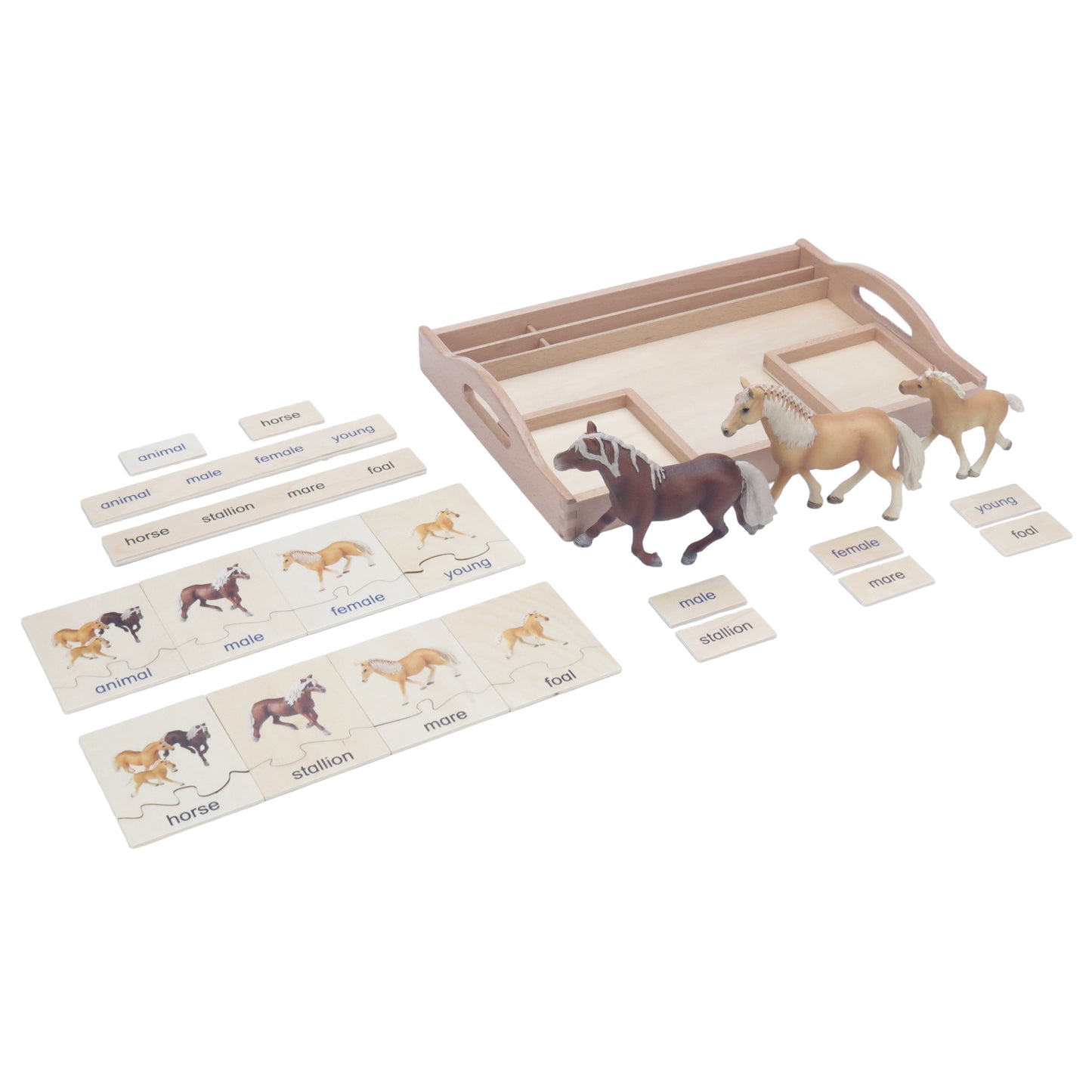Animal Family- Horse， Custom Text，Bilingual，Monolingual