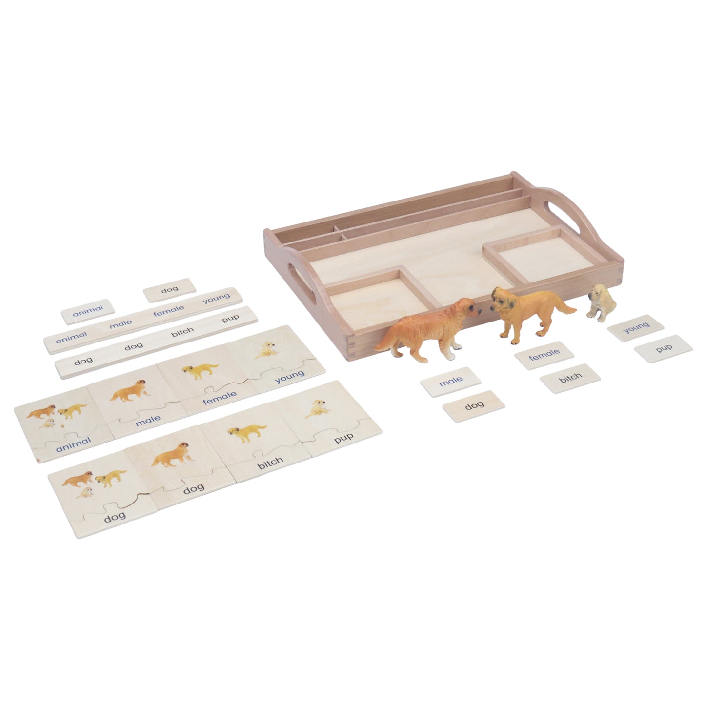 Animal Family- Dog， Custom Text，Bilingual，Monolingual