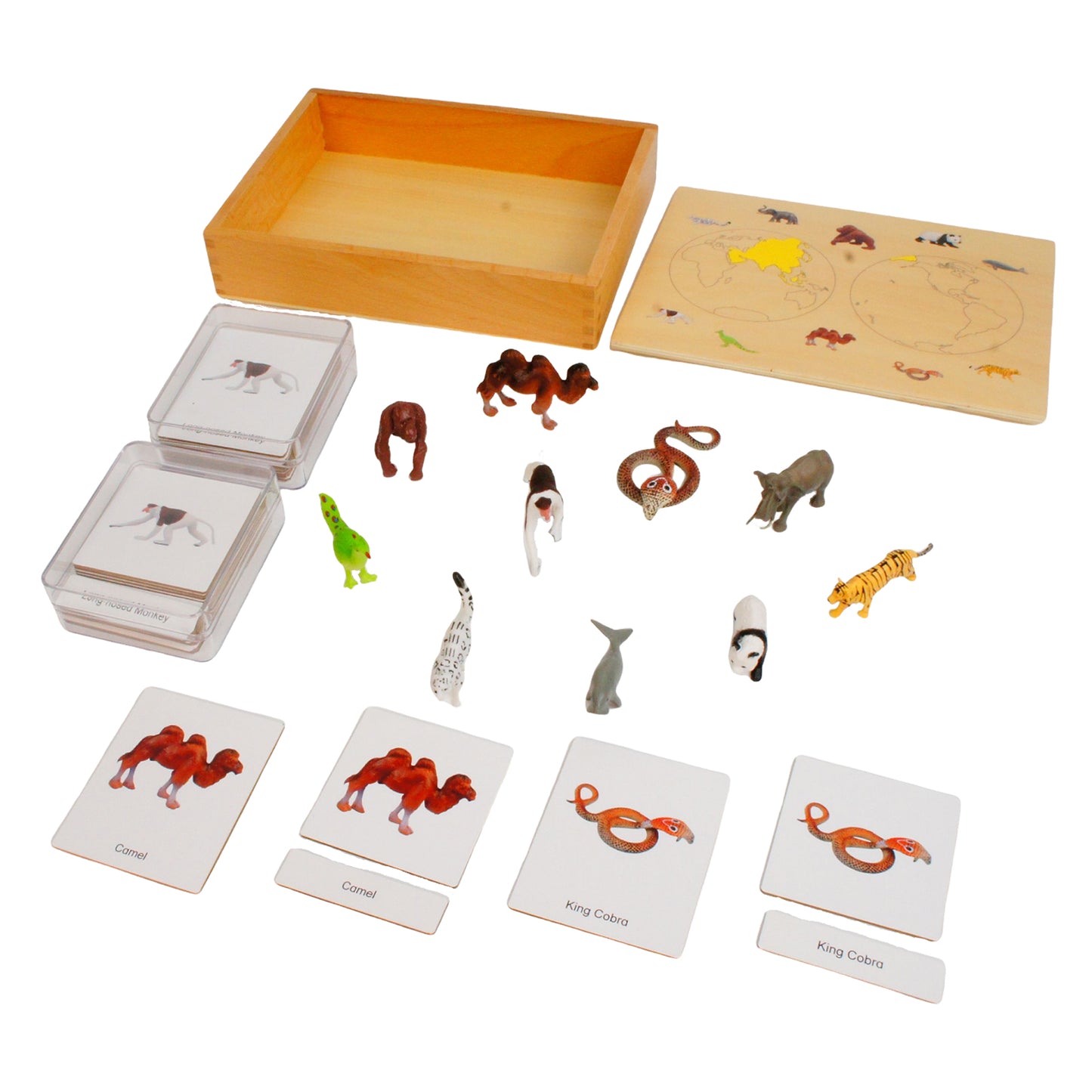 Mini Animaux continentaux – Asie, texte personnalisé, bilingue, monolingue
