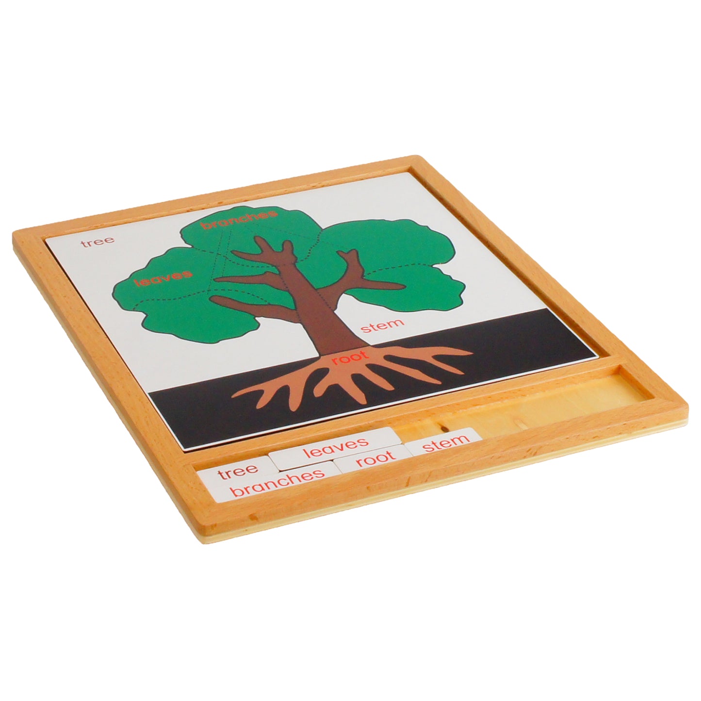 Parts of Plants - Tree, Custom Text, Bilingual, Monolingual