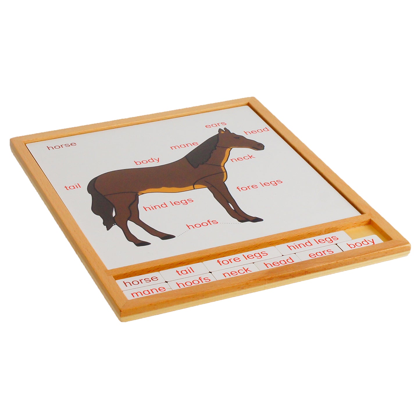 Parts of Animals - Horse, Custom Text, Bilingual, Monolingual