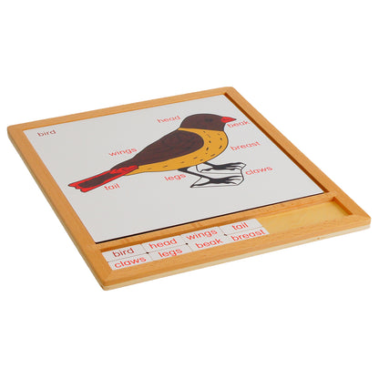 Parts of Animals - Bird, Custom Text, Bilingual, Monolingual