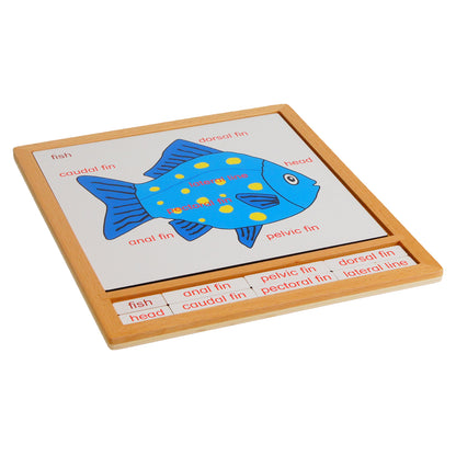 Parts of Animals - Fish, Custom Text, Bilingual, Monolingual
