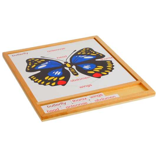 Parts of Animals - Butterfly, Custom Text, Bilingual, Monolingual