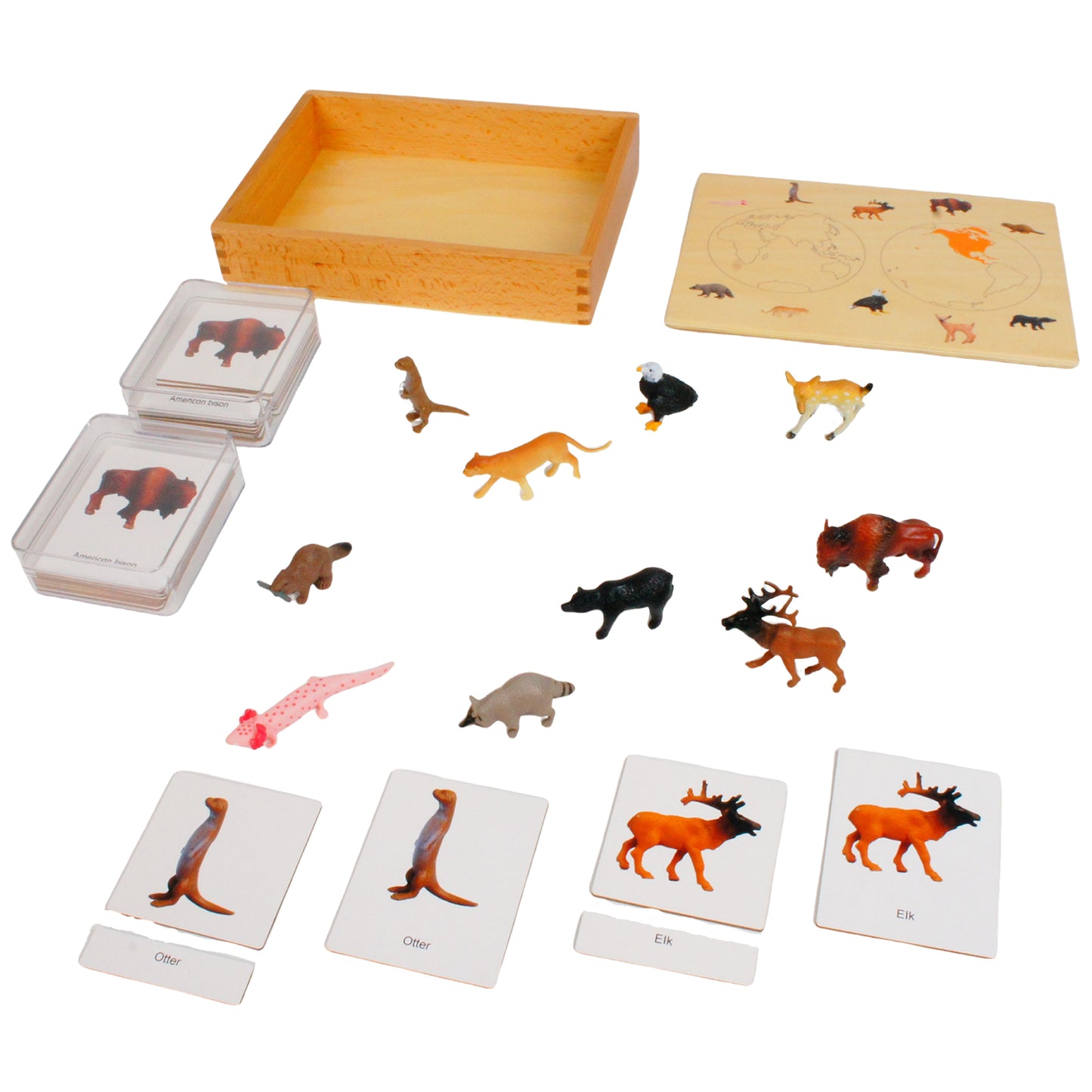 Mini-animaux continentaux – Amérique du Nord, texte personnalisé, bilingue, monolingue