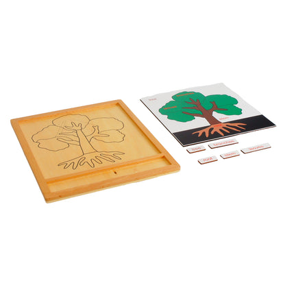 Parts of Plants - Tree, Custom Text, Bilingual, Monolingual