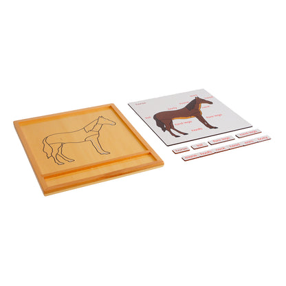 Parts of Animals - Horse, Custom Text, Bilingual, Monolingual