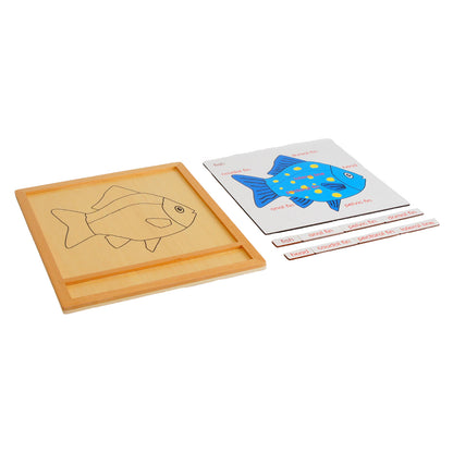 Parts of Animals - Fish, Custom Text, Bilingual, Monolingual