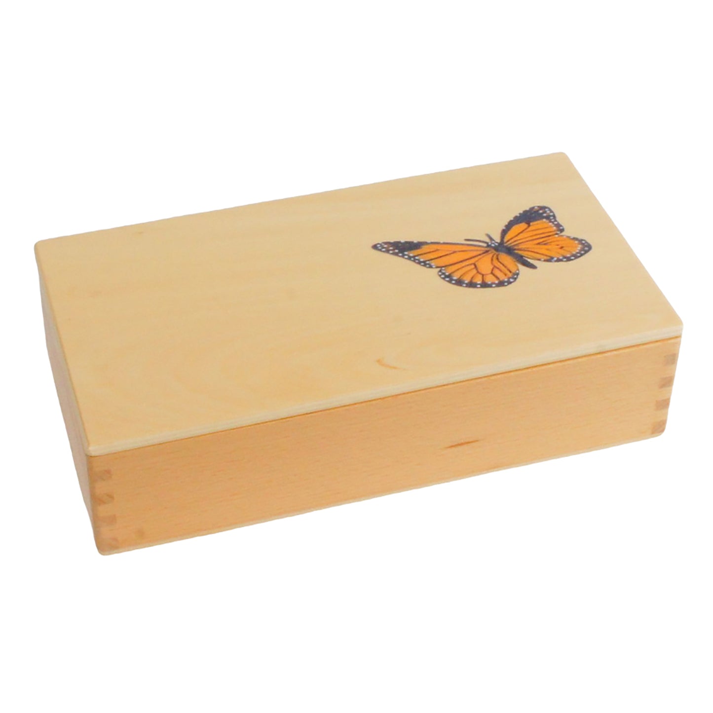 Life Cycle- Butterfly, Custom Text, Bilingual, Monolingual