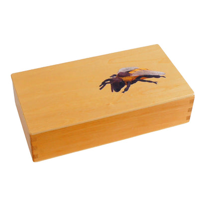 Life Cycle- Honey Bee, Custom Text, Bilingual, Monolingual