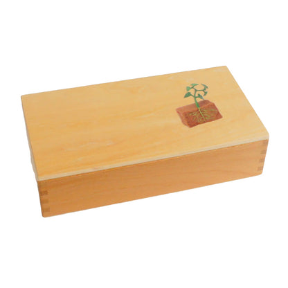 Life Cycle- Bean Plant, Custom Text, Bilingual, Monolingual