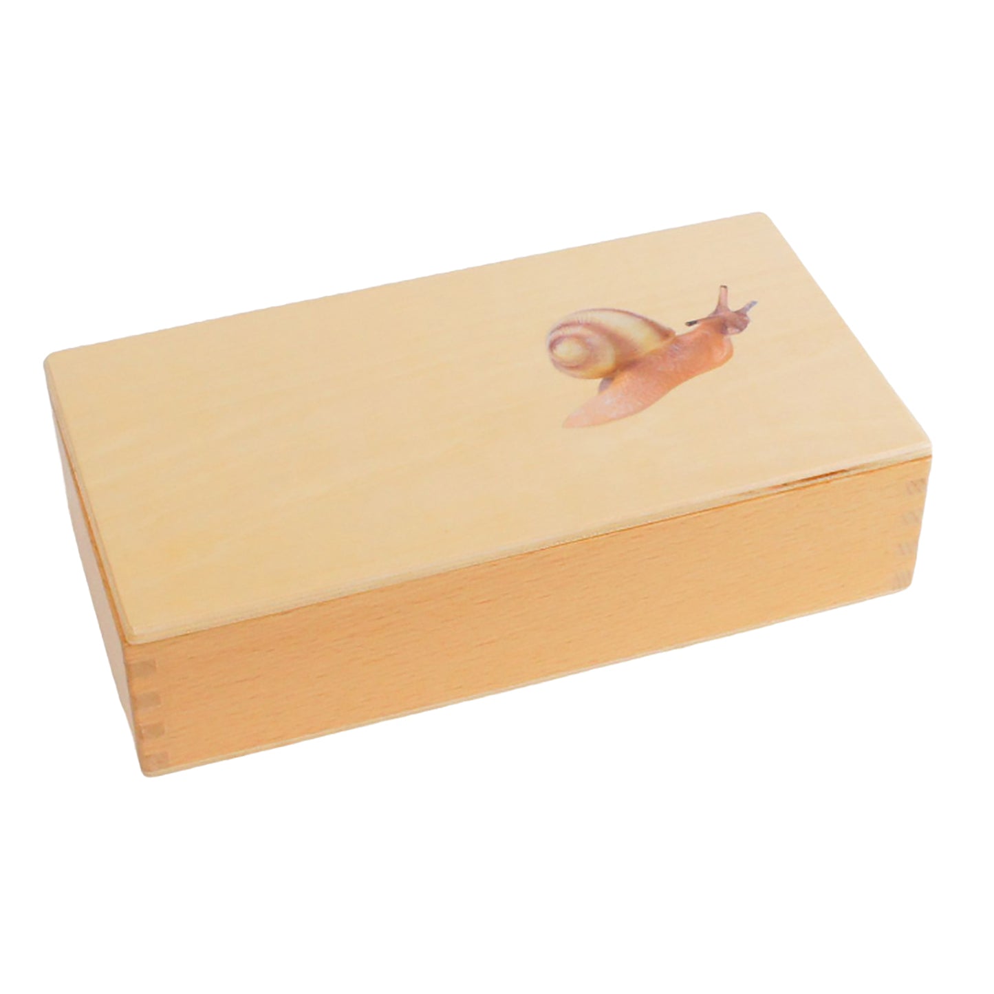 Life Cycle- Snail, Custom Text, Bilingual, Monolingual