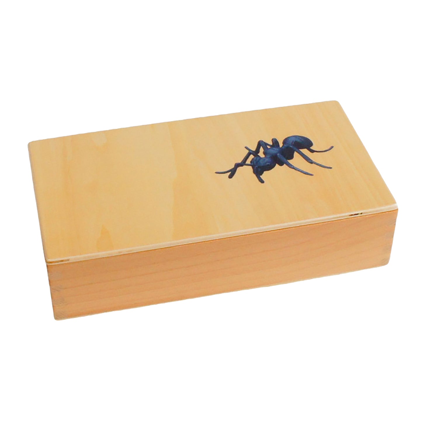 Life Cycle- Ant, Custom Text, Bilingual, Monolingual