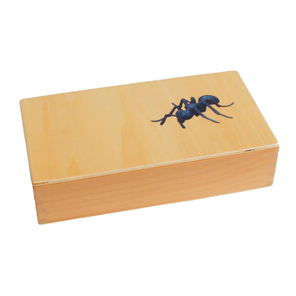 Life Cycle- Ant, Custom Text, Bilingual, Monolingual