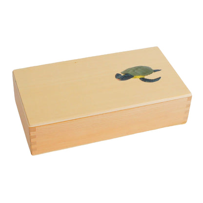 Life Cycle- Sea Turtle, Custom Text, Bilingual, Monolingual