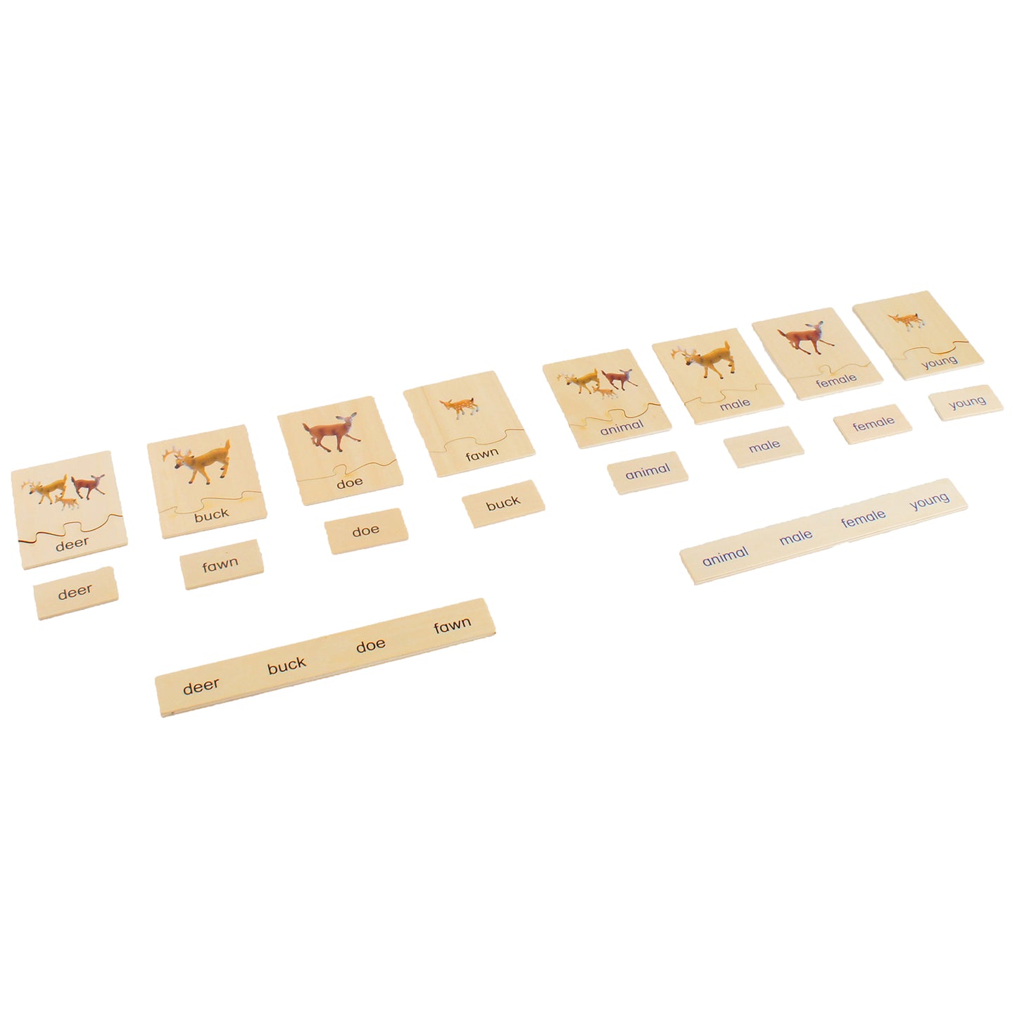 Animal Family- Deer， Custom Text，Bilingual，Monolingual