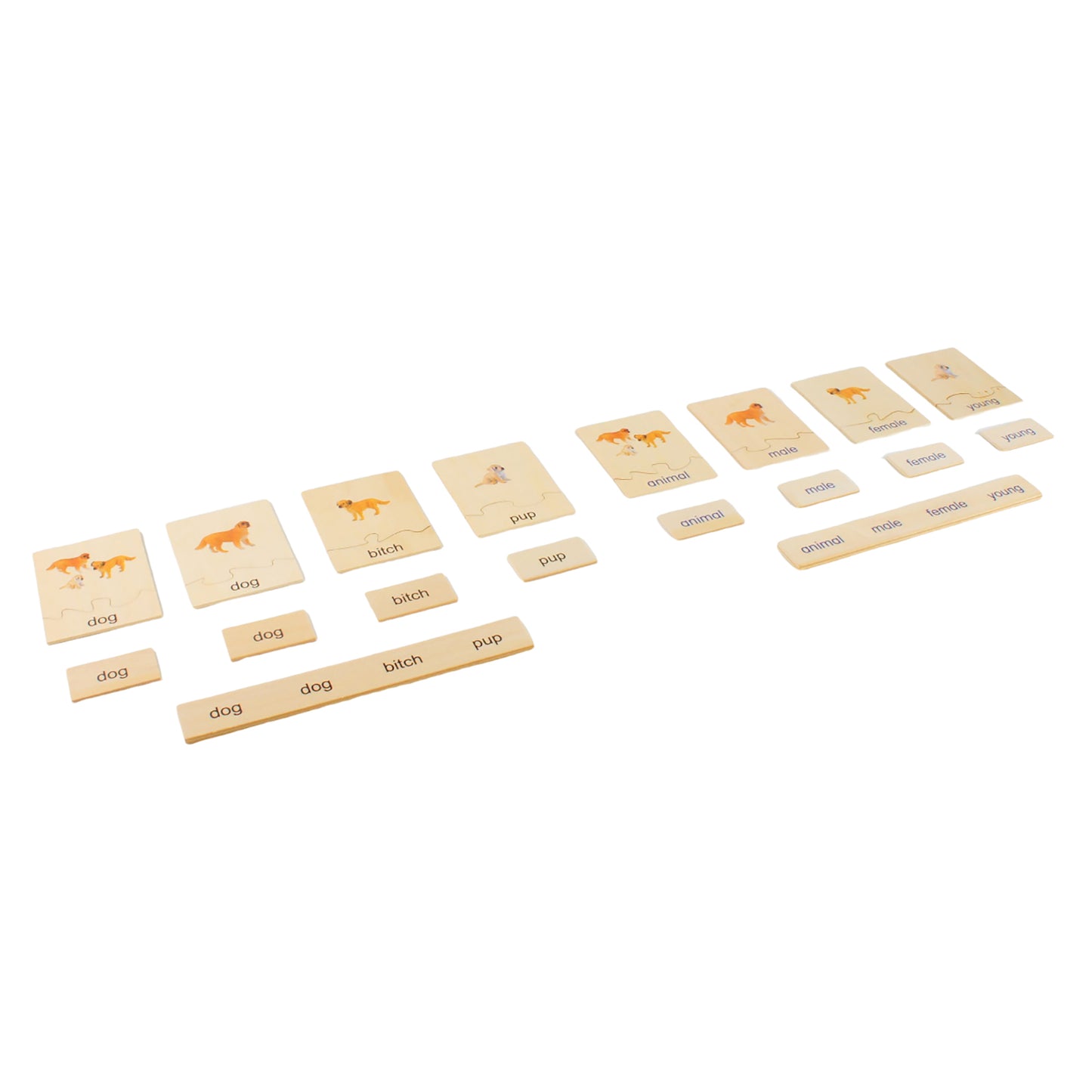 Animal Family- Dog， Custom Text，Bilingual，Monolingual