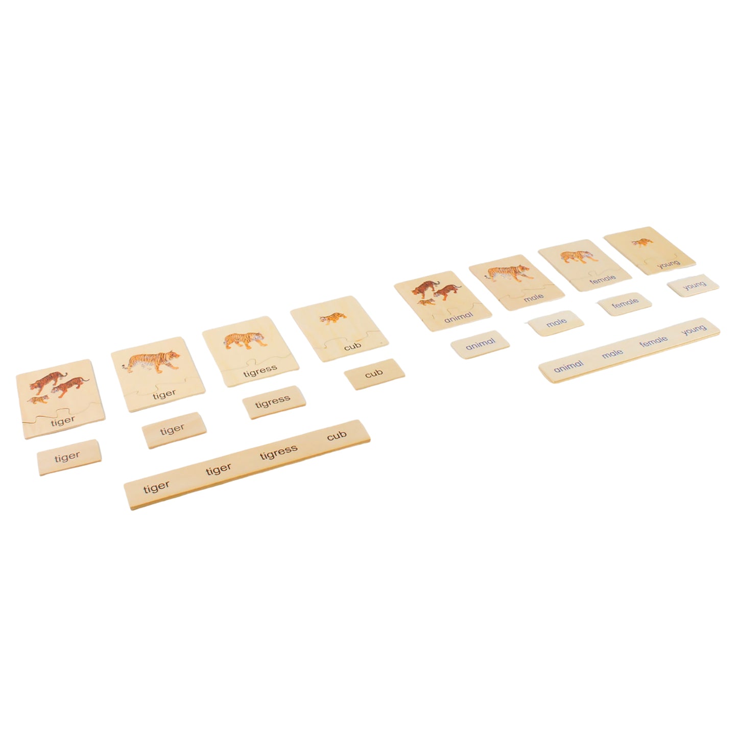 Animal Family- Tiger， Custom Text，Bilingual，Monolingual