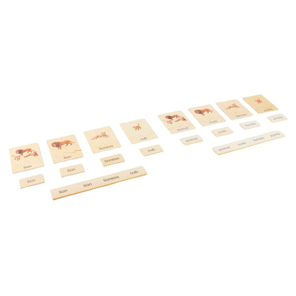 Animal Family- Lion， Custom Text，Bilingual，Monolingual