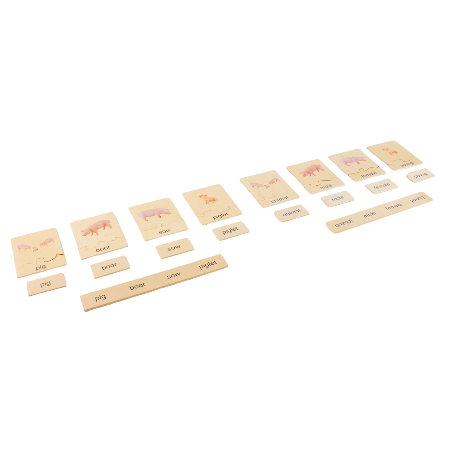 Animal Family- Pig， Custom Text，Bilingual，Monolingual