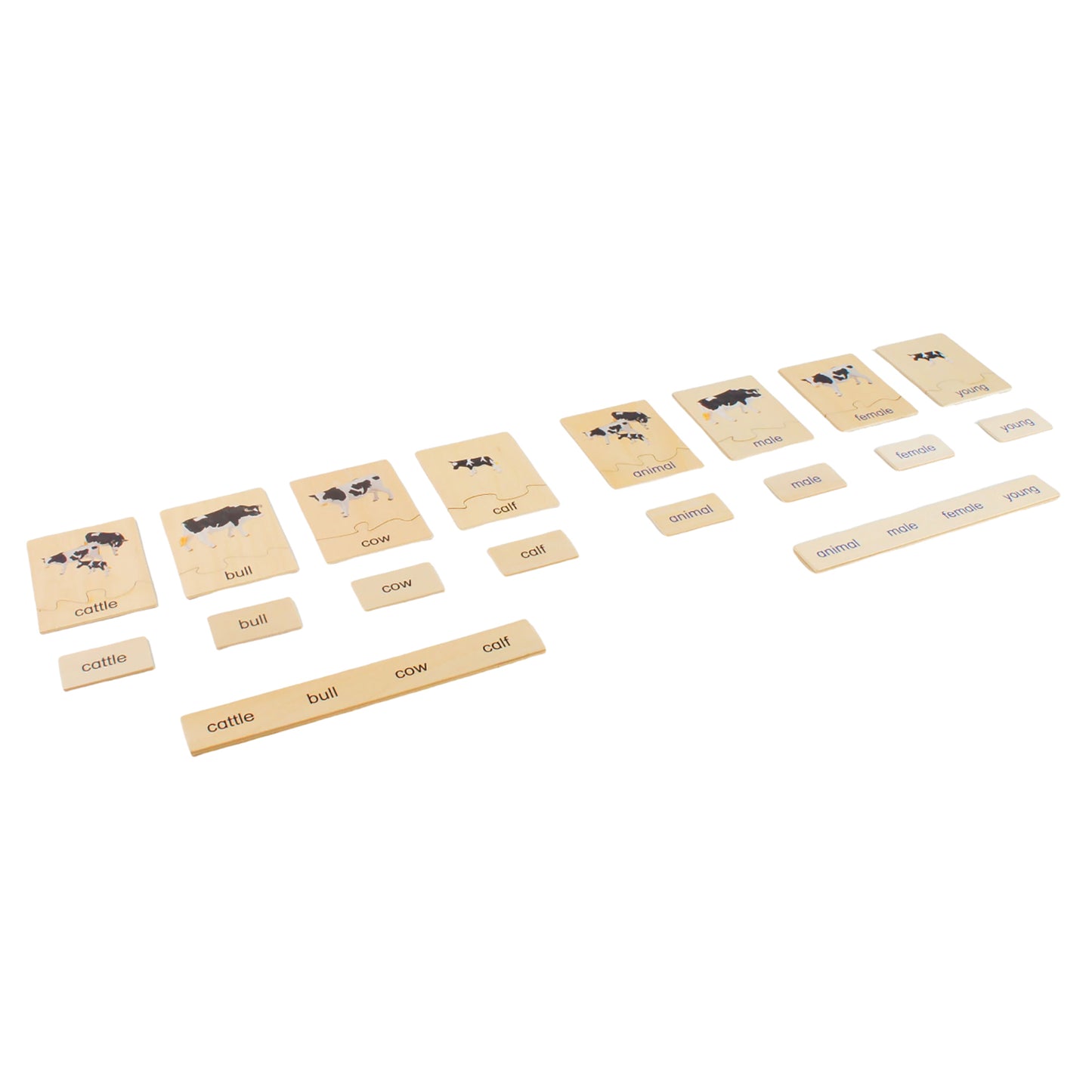 Animal Family- Cattle， Custom Text，Bilingual，Monolingual