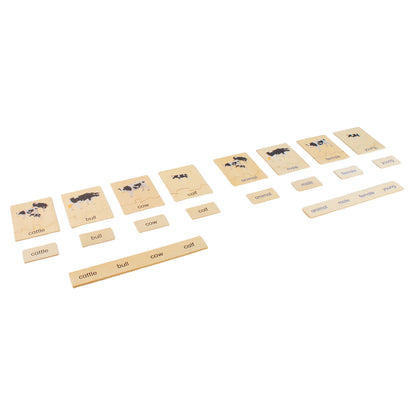 Animal Family- Cattle， Custom Text，Bilingual，Monolingual