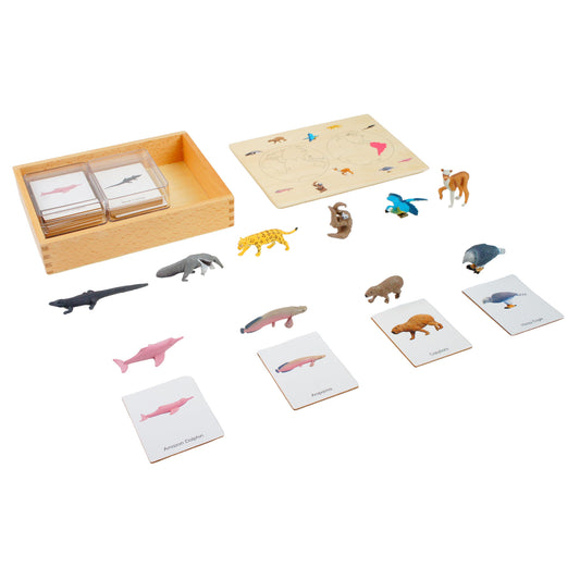 Mini animaux continentaux – Amérique du Sud, texte personnalisé, bilingue, monolingue