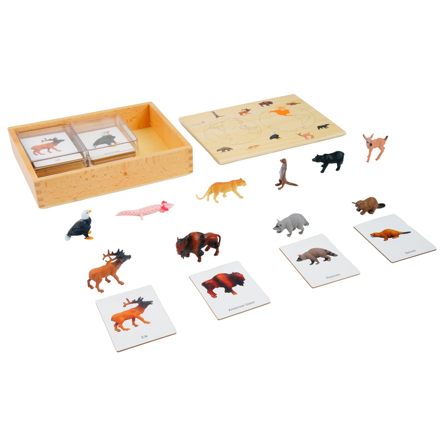 Mini-animaux continentaux – Amérique du Nord, texte personnalisé, bilingue, monolingue
