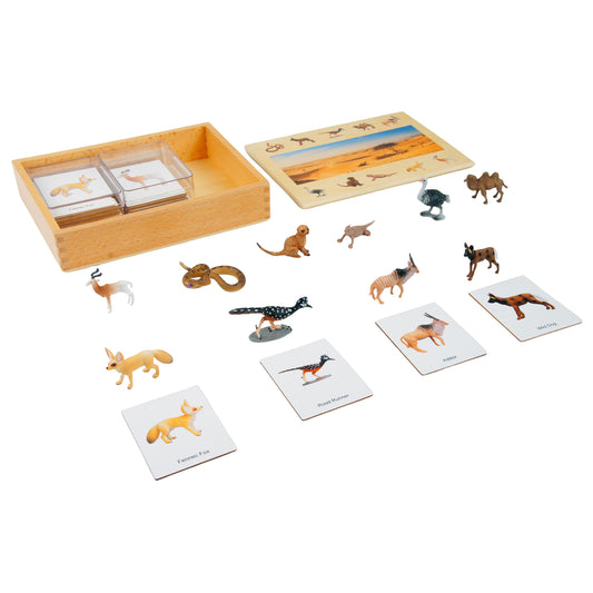 Ecosystem – Desert Animals, Custom Text, Bilingual, Monolingual