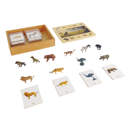 Ecosystem – Grass Land Animals, Custom Text, Bilingual, Monolingual
