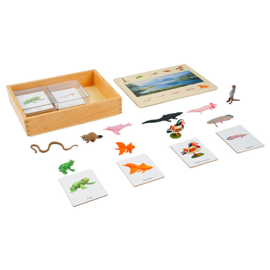 Ecosystem – Freshwater Animals, Custom Text, Bilingual, Monolingual