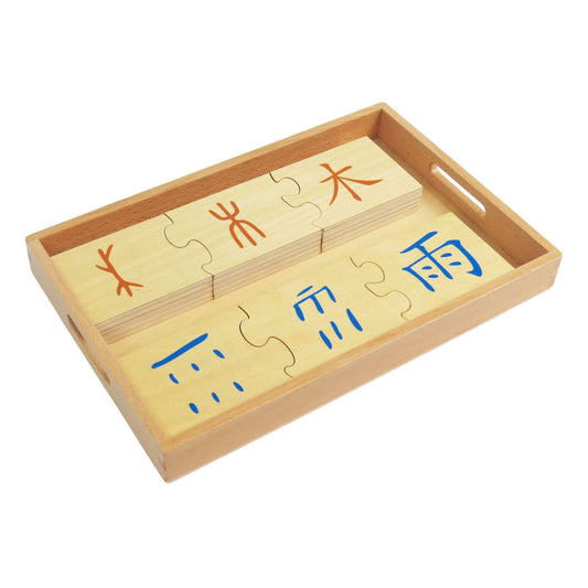 The evolution of Chinese character