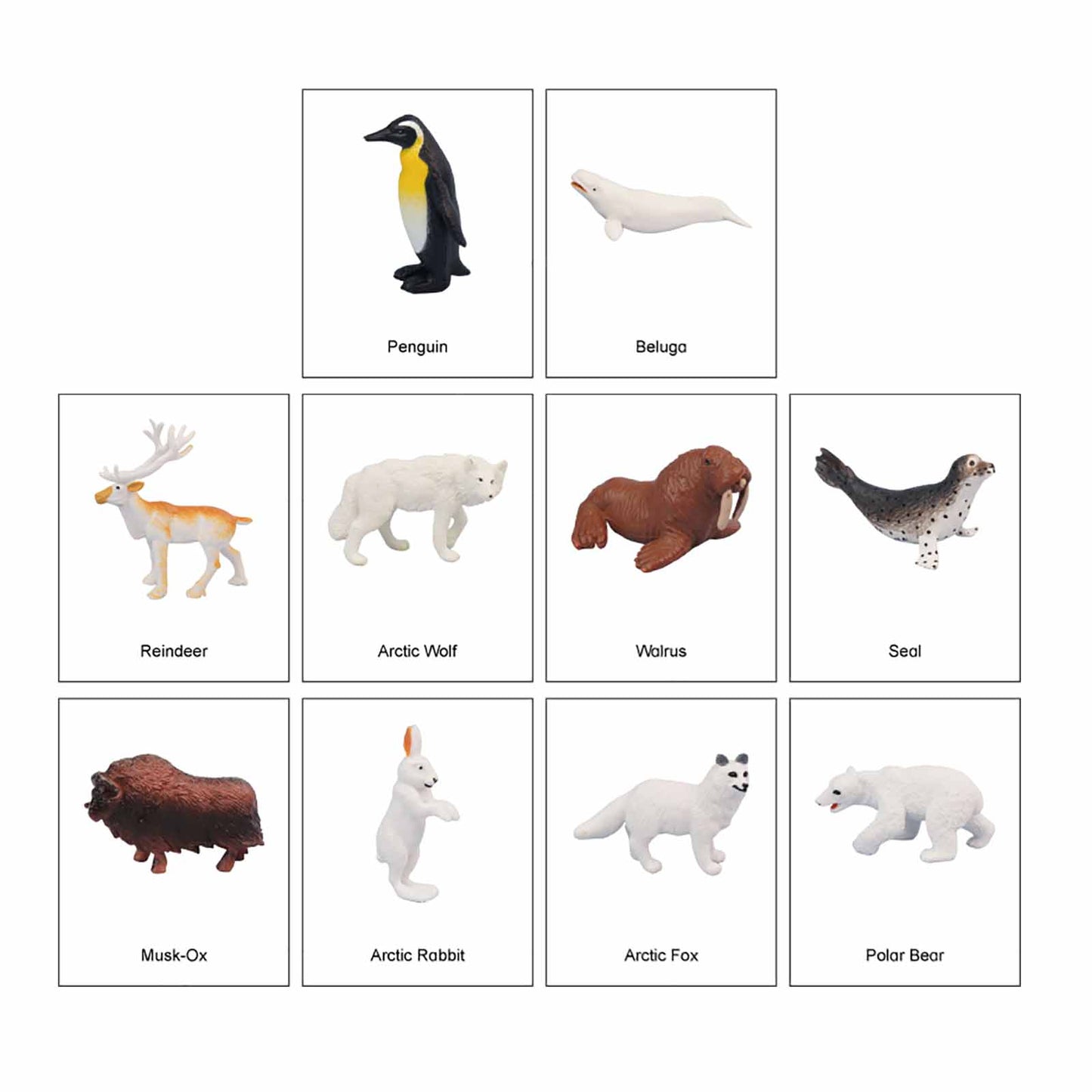 Mini Animaux continentaux – Polaire, texte personnalisé, bilingue, monolingue