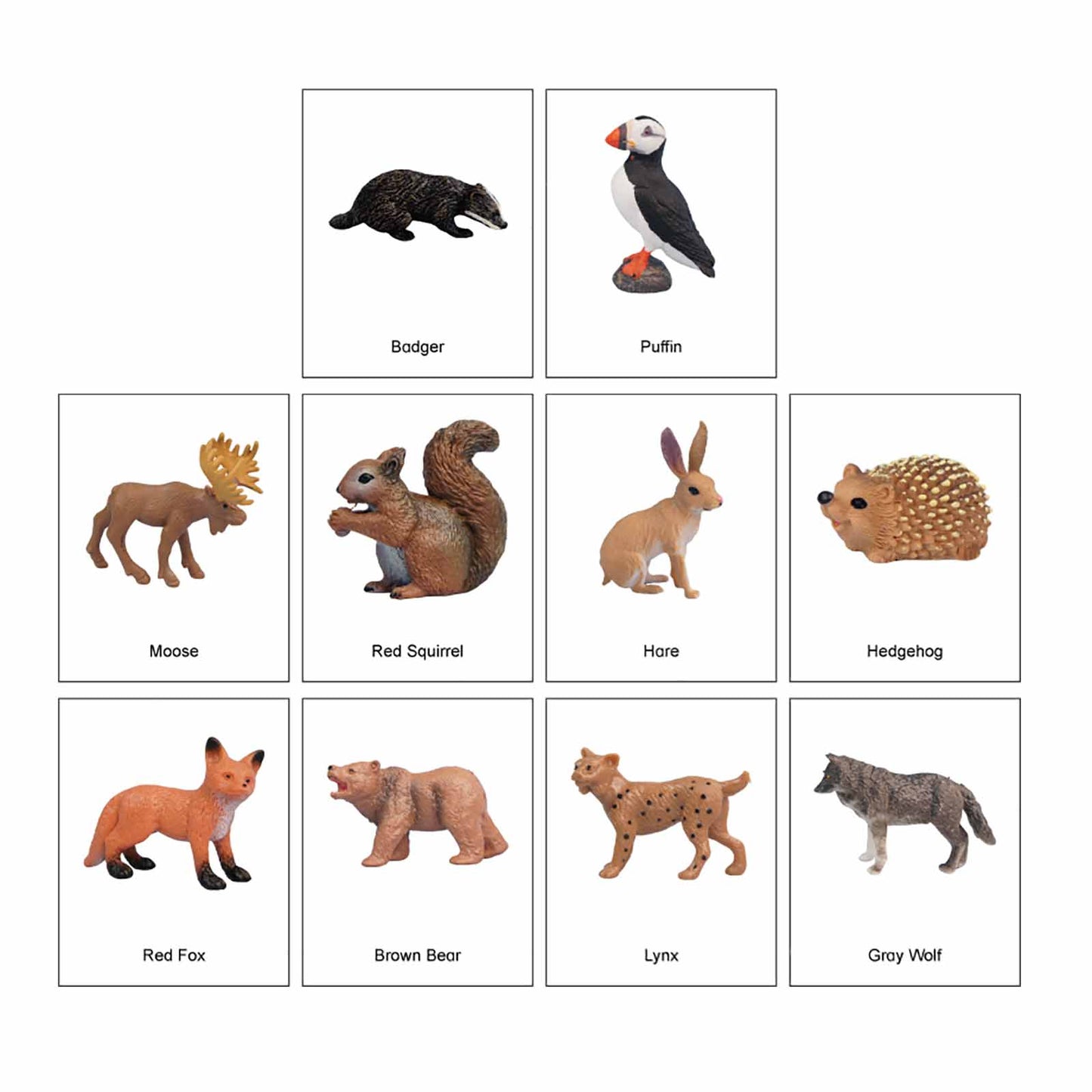 Mini Animaux continentaux – Europe, texte personnalisé, bilingue, monolingue