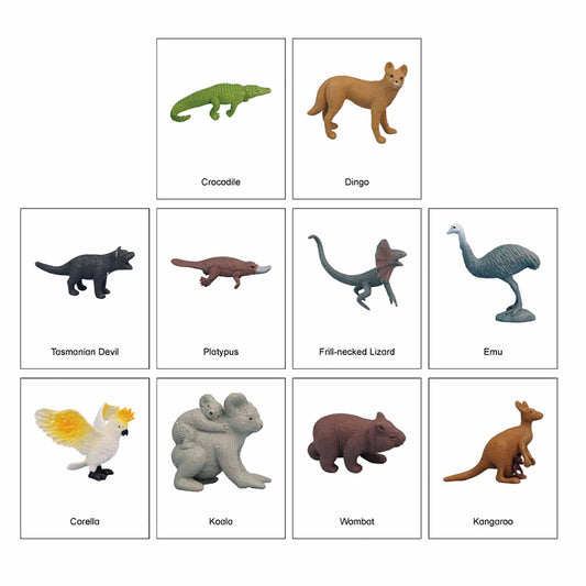 Mini-animaux continentaux – Australasie, texte personnalisé, bilingue, monolingue