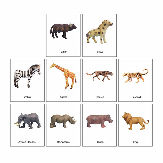 Mini Animaux continentaux – Afrique, texte personnalisé, bilingue, monolingue