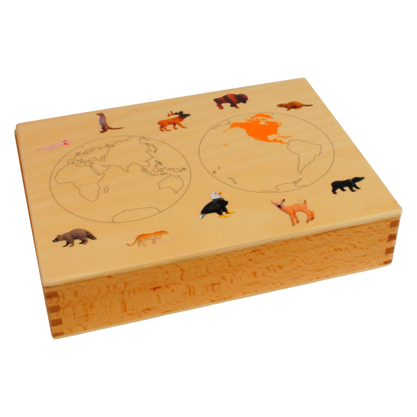 Mini-animaux continentaux – Amérique du Nord, texte personnalisé, bilingue, monolingue