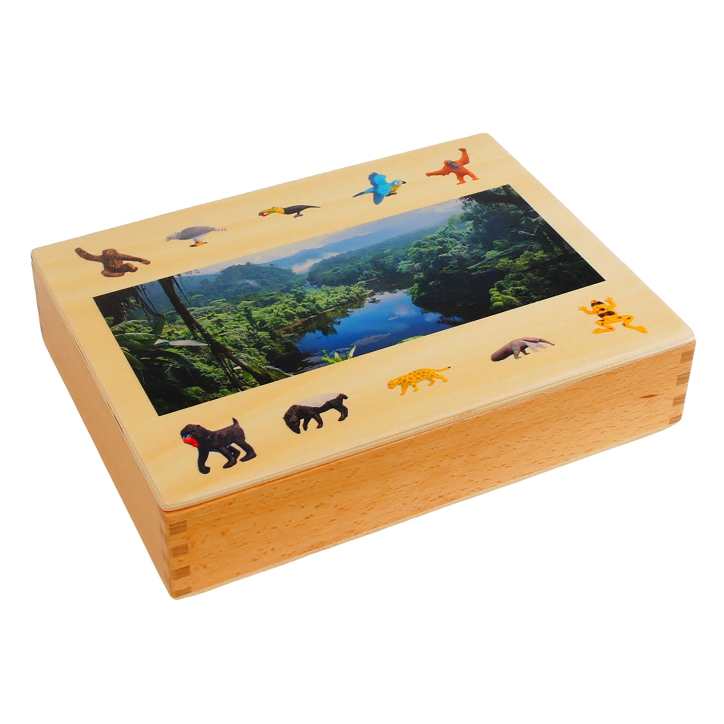 Écosystème – Animaux de la forêt tropicale, texte personnalisé, bilingue, monolingue