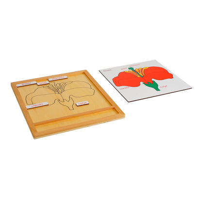 Parts of Plants - Flower, Custom Text, Bilingual, Monolingual