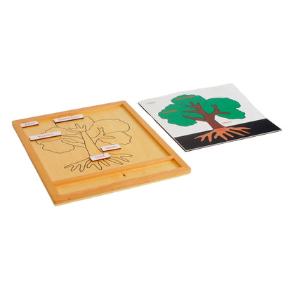 Parts of Plants - Tree, Custom Text, Bilingual, Monolingual