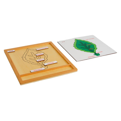 Parts of Plants - Leaf, Custom Text, Bilingual, Monolingual