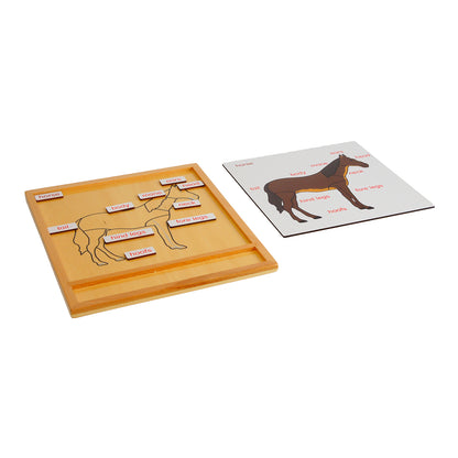Parts of Animals - Horse, Custom Text, Bilingual, Monolingual