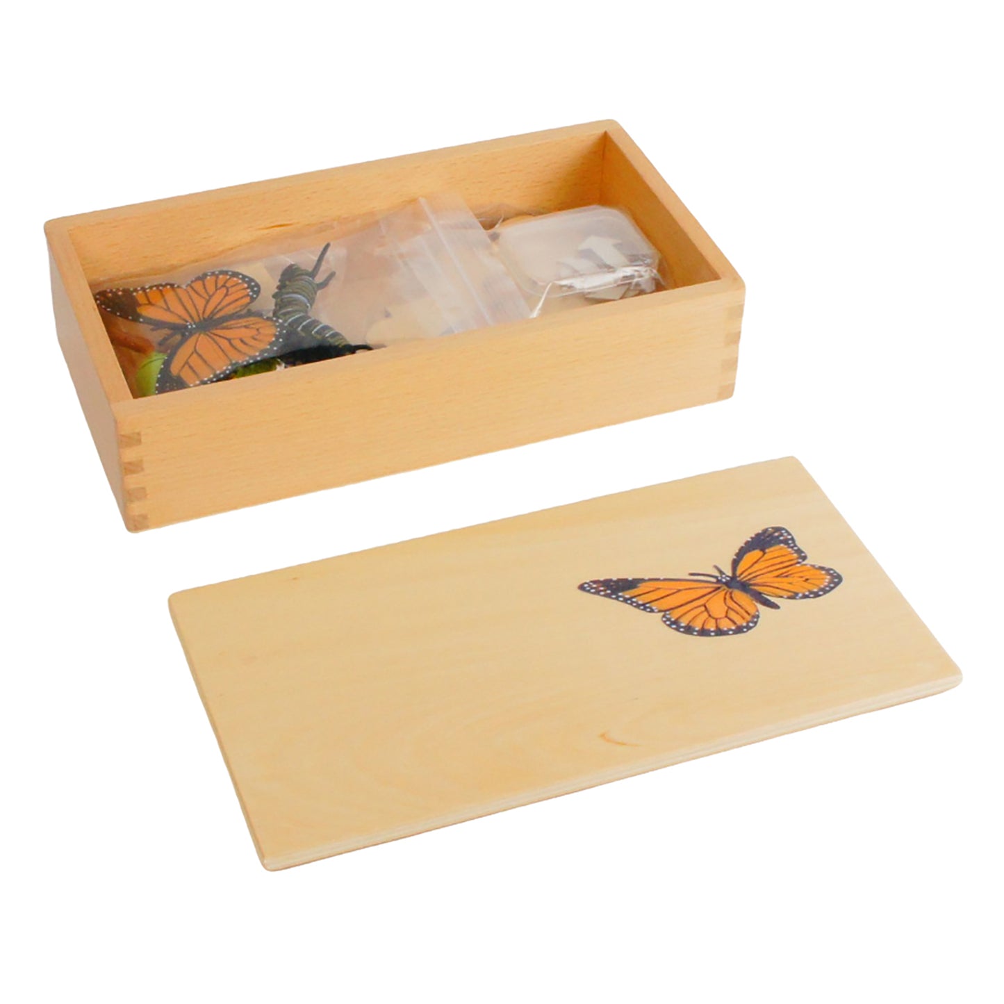 Life Cycle- Butterfly, Custom Text, Bilingual, Monolingual