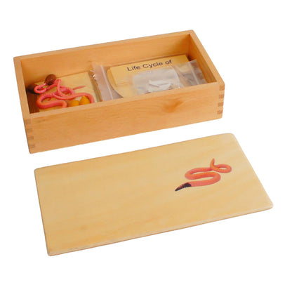 Life Cycle- Worm, Custom Text, Bilingual, Monolingual