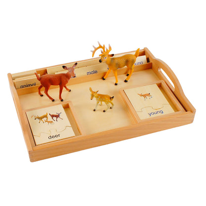 Animal Family- Deer， Custom Text，Bilingual，Monolingual