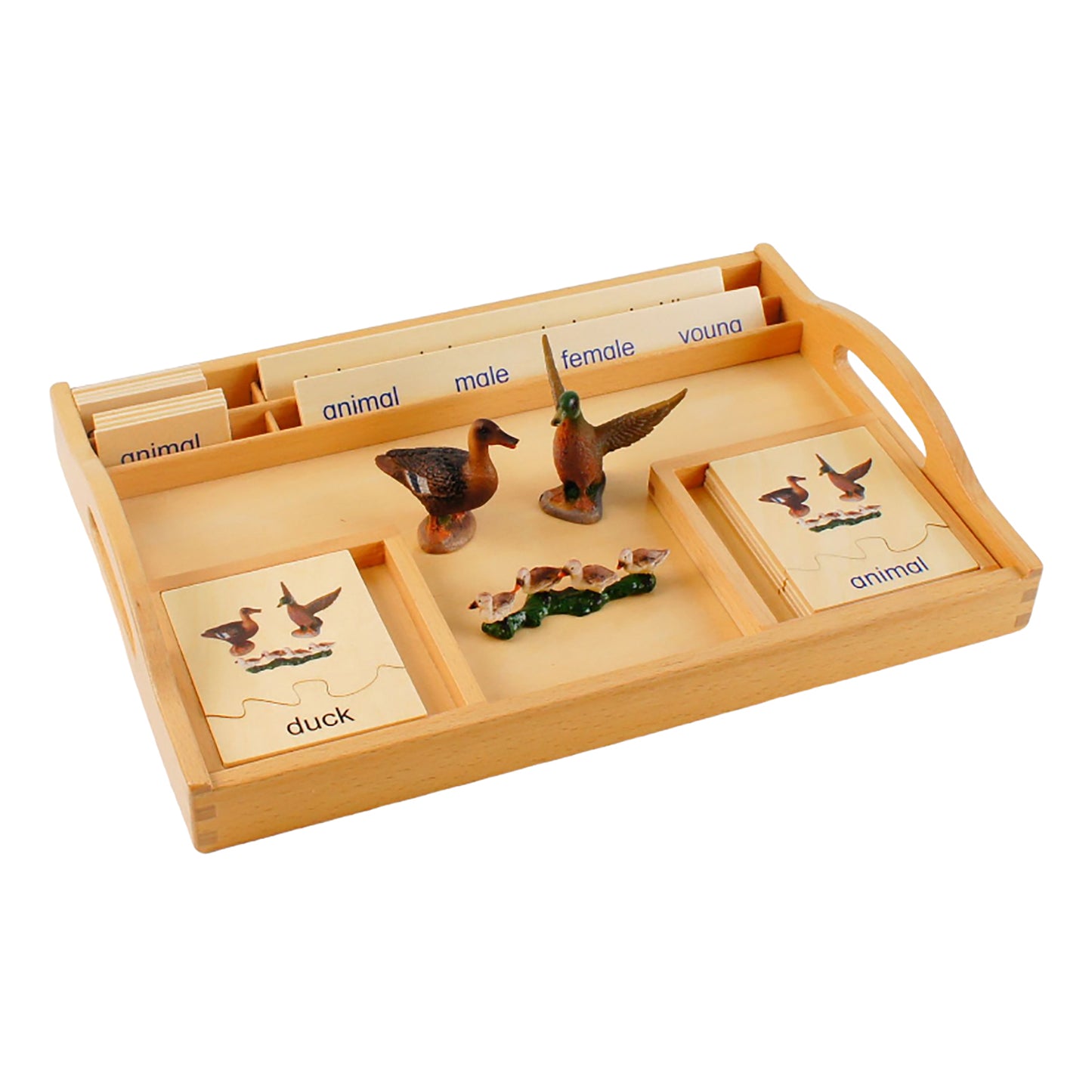 Animal Family- Duck， Custom Text，Bilingual，Monolingual