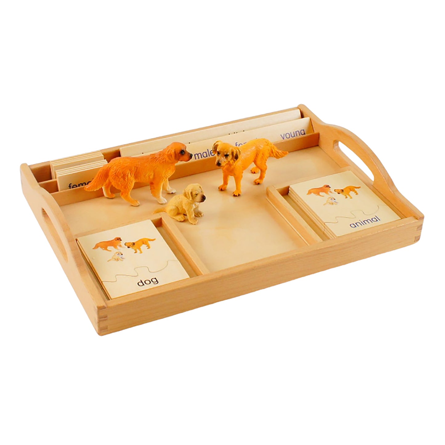 Animal Family- Dog， Custom Text，Bilingual，Monolingual