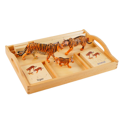 Animal Family- Tiger， Custom Text，Bilingual，Monolingual